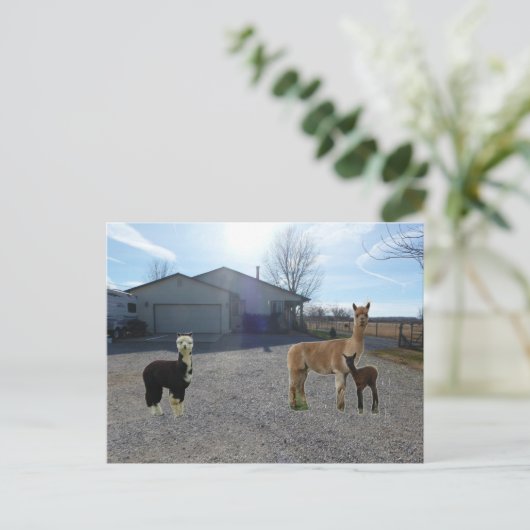 Boerderij Briefkaart (Staand voorkant)