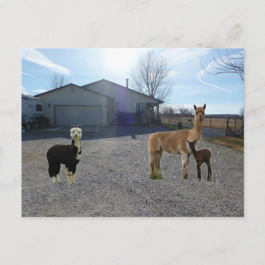 Boerderij Briefkaart (Voorkant)