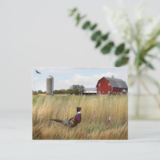 Boerderij Briefkaart (Staand voorkant)