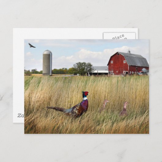 Boerderij Briefkaart (Voorkant / Achterkant)