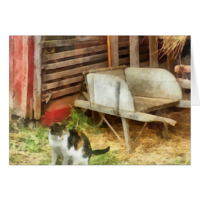 Boerderij Cat (Voorkant Horizontaal)