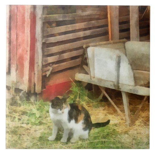 Boerderij Cat Tegeltje (Voorkant)