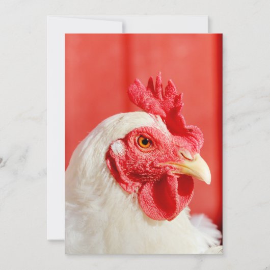 Boerderij Chicken Kaart (Voorkant)