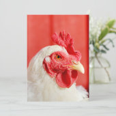 Boerderij Chicken Kaart (Staand voorkant)