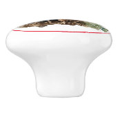 Boerderij Chickens Red Barn Land Keramische Knop (Zijkant)