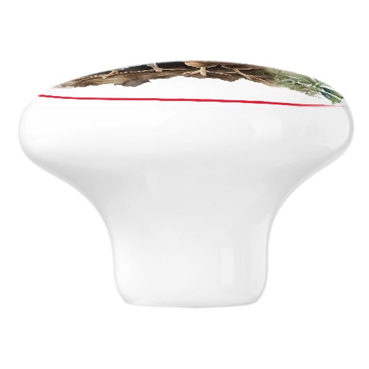 Boerderij Chickens Red Barn Land Keramische Knop (Zijkant)