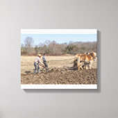 Boerderij Clydesdales Canvas Afdruk (Voorkant)