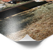 Boerderij Dierentuin Vrienden Schattige 10x8 Foto Afdruk (Hoek)