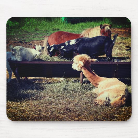Boerderij Dierenvrienden Natuur Muismat (Voorkant)