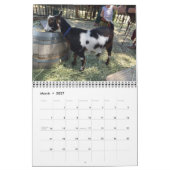 Boerderij dierkalender kalender (Mar 2027)