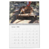Boerderij dierkalender kalender (Jan 2026)