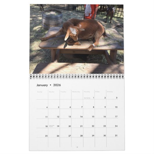 Boerderij dierkalender kalender (Jan 2026)