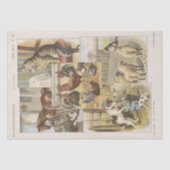 Boerderij Dierlijk Collectie Ephemeral-ontleding Tissuepapier (Voorkant)