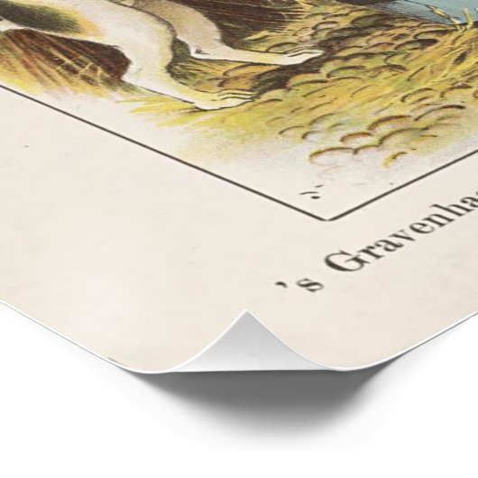 Boerderij Dierlijk Collectie Ephemeral Perfect Poster (Hoek)