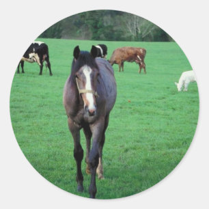 Boerderij Dierlijke pasta Ronde Sticker