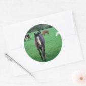 Boerderij Dierlijke pasta Ronde Sticker (Envelop)