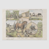 Boerderij Dierlijke Vintage Nederlandse Kunstwerko Tissuepapier (Voorkant)