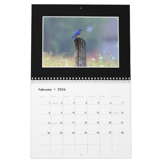 Boerderij en land Agenda 2020 van Tom Minutolo Kalender (Feb 2026)