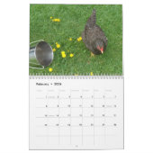 Boerderij en land kalender (Feb 2026)