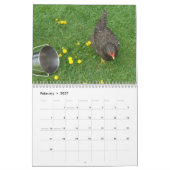 Boerderij en land kalender (Feb 2027)
