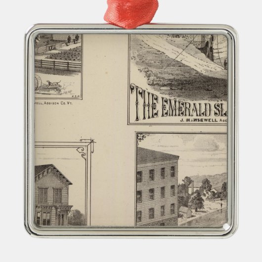 boerderij en waterbouw in Hydeville Metalen Ornament (Voorkant)