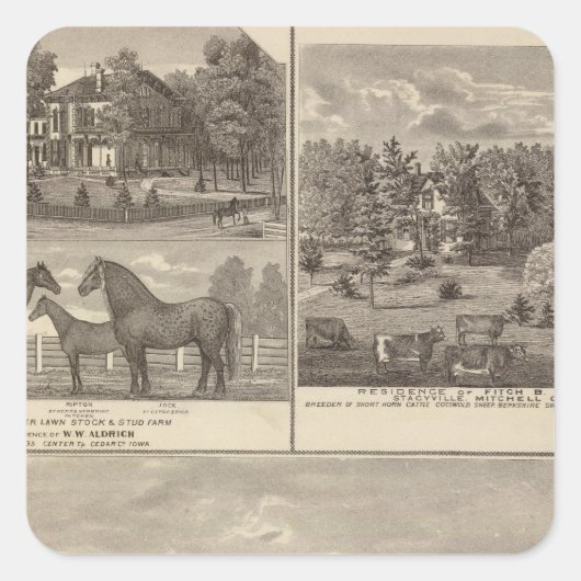 Boerderij en woonplaats rode eik, Midden Tp Vierkante Sticker (Voorkant)