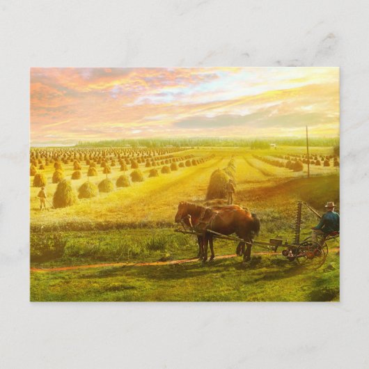 Boerderij - Finland - Gebied van hoop 1899 Briefkaart (Voorkant)