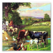  Boerderij Foto Afdruk (Voorkant)