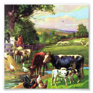 Boerderij Foto Afdruk