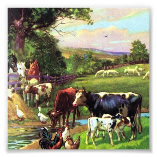  Boerderij Foto Afdruk (Voorkant)