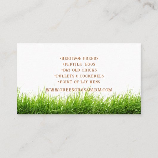 Boerderij Fresh Eggs Nieuwigheid Design Visitekaartje (Achterkant)