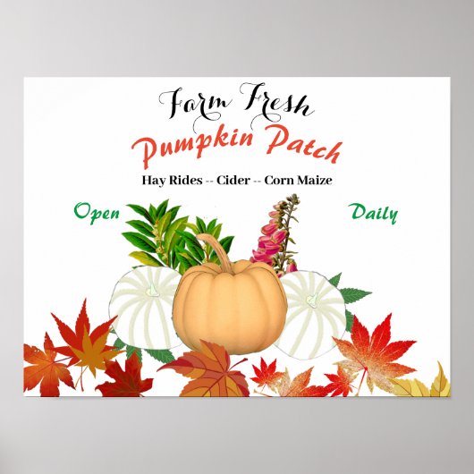 Boerderij Fresh Pumpkin Patch Herfst Harvest Farmh Poster (Voorkant)