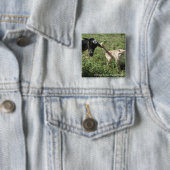 Boerderij Friends Vierkante Button 5,1 Cm (In situ)