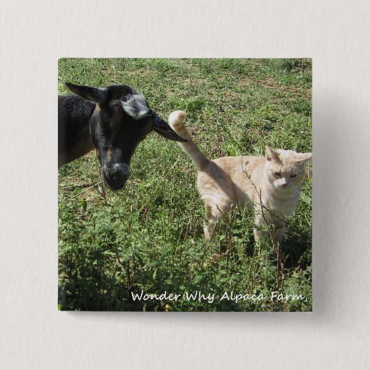 Boerderij Friends Vierkante Button 5,1 Cm (Voorkant)