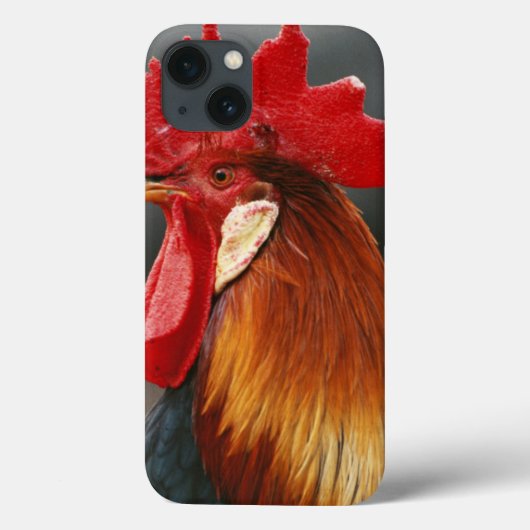 Boerderij gedomesticeerde haan Case-Mate iPhone case (Achterkant)