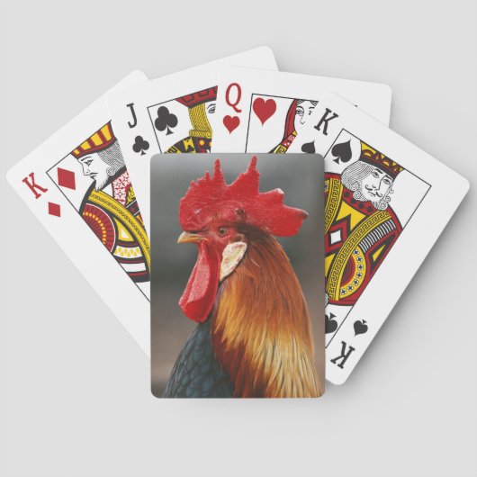 Boerderij gedomesticeerde haan pokerkaarten (Achterkant)