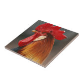 Boerderij gedomesticeerde haan tegeltje (Zijkant)