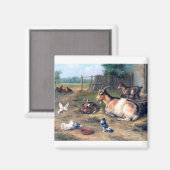 Boerderij geit Kinder duiven Magneet (Voorkant / Achterkant)