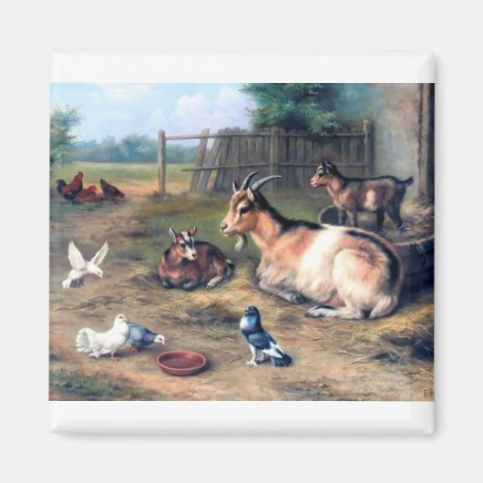 Boerderij geit Kinder duiven Magneet (Voorkant)