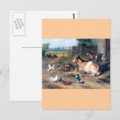 Boerderij Geitten Kinder duiven Briefkaart (Voorkant / Achterkant)