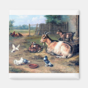 Boerderij Geitten Kinder duiven Magneet