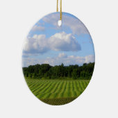 Boerderij gestreepte landboer oogstfoto keramisch ornament (Rechts)