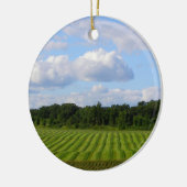 Boerderij gestreepte landboer oogstfoto keramisch ornament (Links)