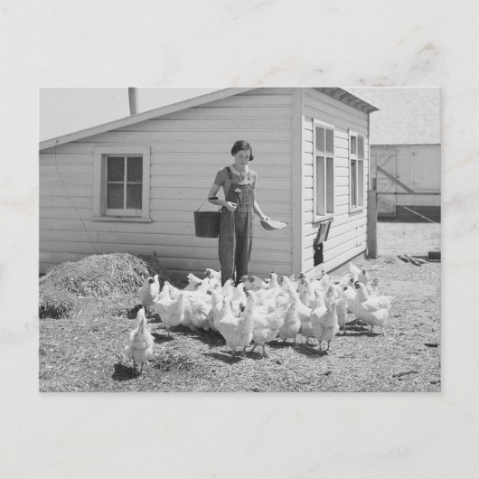 Boerderij Girl Feeding Chickens, 1936 Briefkaart (Voorkant)