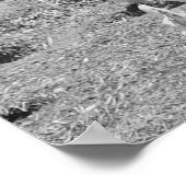 Boerderij Girl Feeding Chickens, 1936.  foto Poster (Hoek)