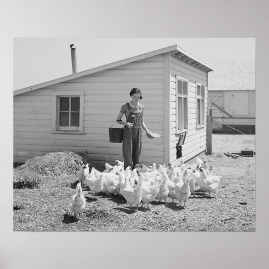 Boerderij Girl Feeding Chickens, 1936.  foto Poster (Voorkant)