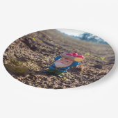 Boerderij Gnome Papieren Bordje (Gekanteld)
