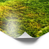 Boerderij Groen rijstveld Foto Afdruk (Hoek)