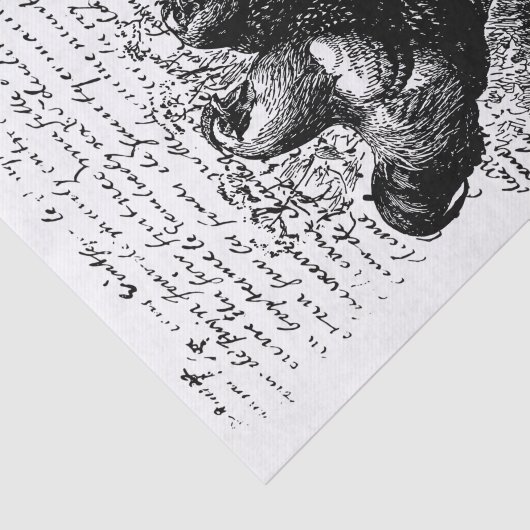 Boerderij Haan  decoupage Tissuepapier