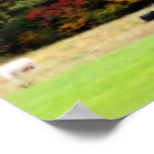 Boerderij Herfst gebladerte Koeien in Field Orton  Poster (Hoek)